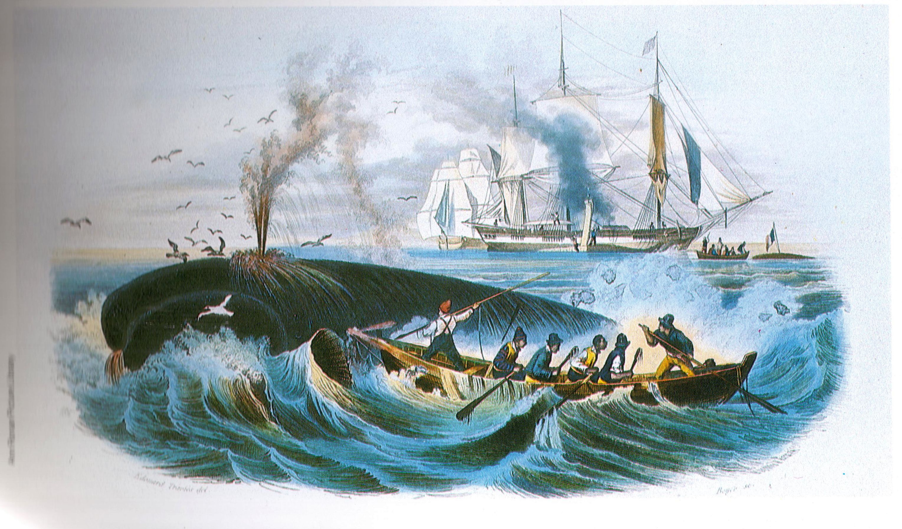 La caza de la ballena desde